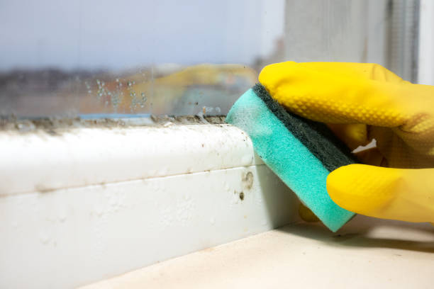 Best Residential Mold Removal  in Hebron, OH