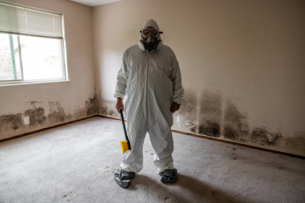 Best Commercial Mold Removal  in Hebron, OH